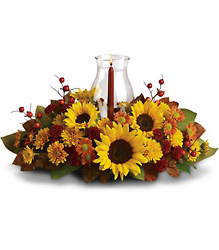 Sunflower Centerpiece Cottage Florist Lakeland Fl 33813 Premium Flowers lakeland